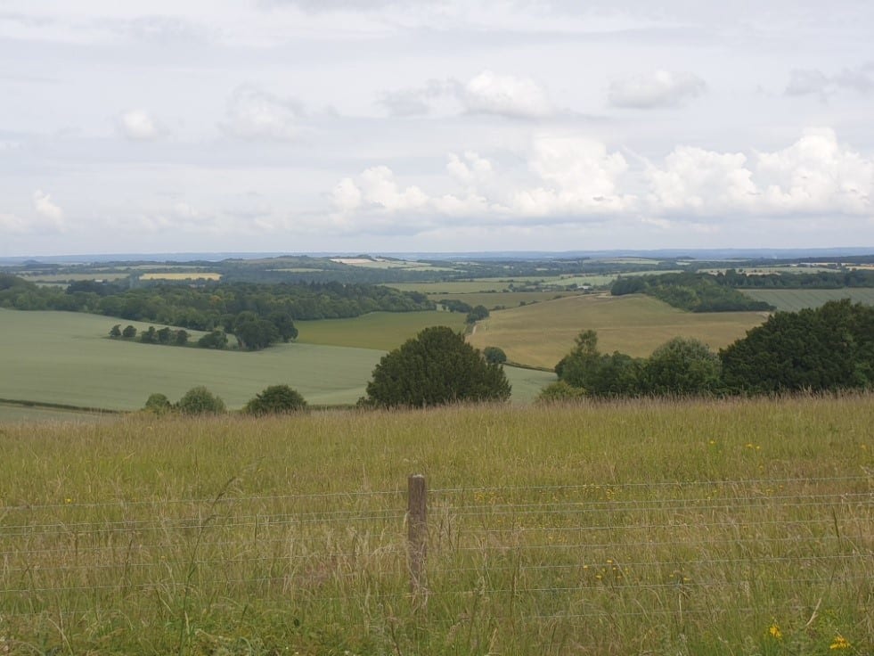 View from Beacon Hill