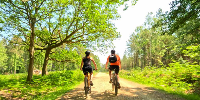New Forest rides from Stanwell House