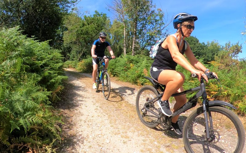 Two cyclists on hire bikes explore the New Forest National Park