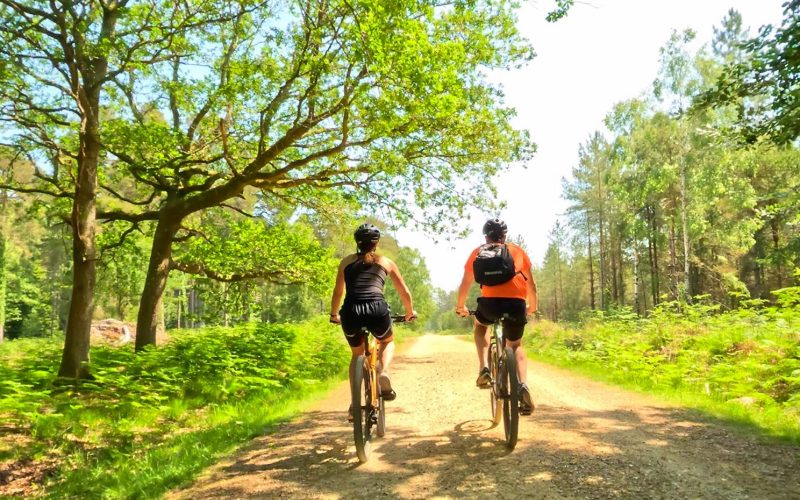 New Forest bike hire