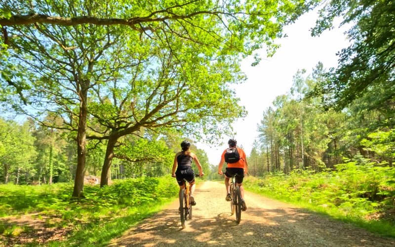 New Forest bike hire